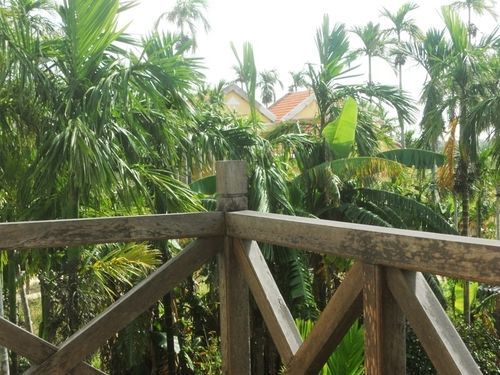 Lila Homestay Χόι Αν Εξωτερικό φωτογραφία