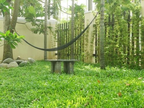 Lila Homestay Χόι Αν Εξωτερικό φωτογραφία